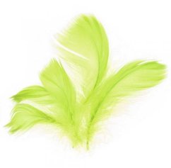 Peří 10 g světle zelené