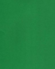 Filc zelený A4, 180 g