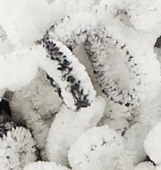 Příze Alize Puffy Fine Color 7646 – sněžný levhart