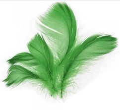 Peří 10 g zelené